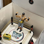 WWE THEMED CAKE
