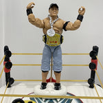 WWE THEMED CAKE