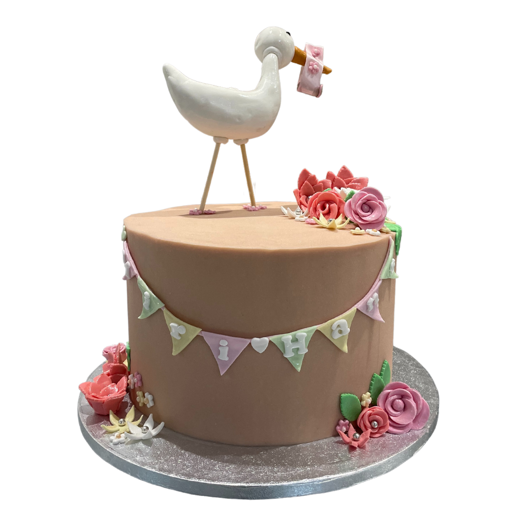 BABY & STORK CELEBRATION CAKE