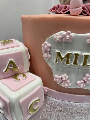 GIRL WITH BEAR OCCASSION CAKE