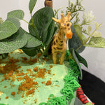 ANIMAL FILM-THEME CAKE