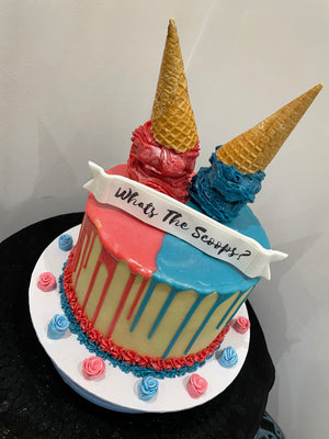 TWO SCOOP ICE CREAM OCCASION CAKE