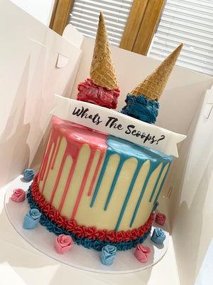 TWO SCOOP ICE CREAM OCCASION CAKE