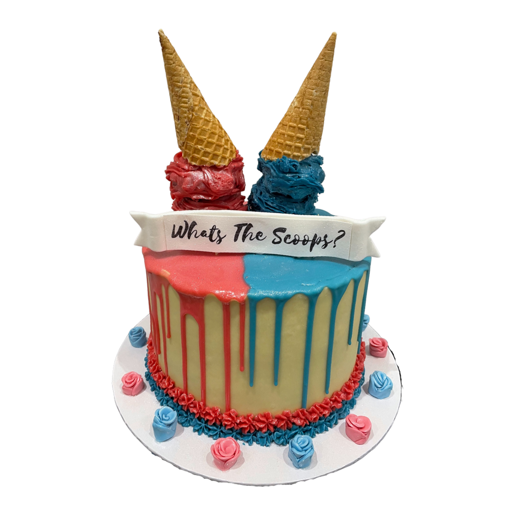 TWO SCOOP ICE CREAM OCCASION CAKE