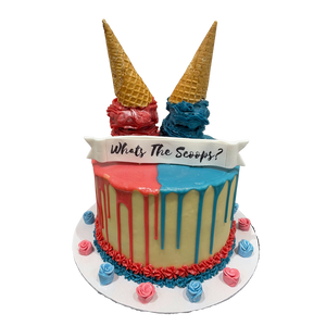 TWO SCOOP ICE CREAM OCCASION CAKE