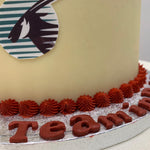 AIRLINE THEMED CAKE