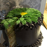 GREEN FINGERS CELEBRATION CAKE